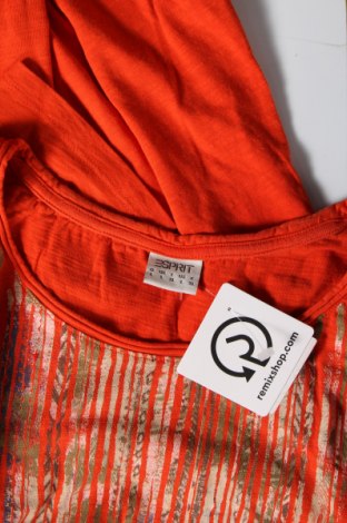 Damen Shirt Esprit, Größe L, Farbe Orange, Preis € 46,65