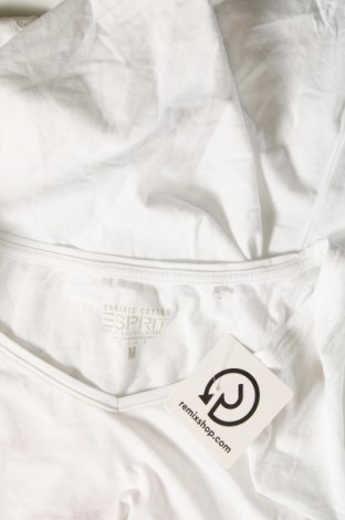 Damen Shirt Esprit, Größe M, Farbe Weiß, Preis 9,46 €