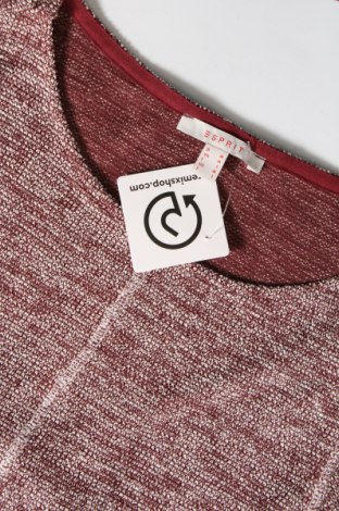 Damen Shirt Esprit, Größe M, Farbe Rot, Preis € 11,83