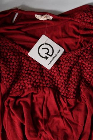 Γυναικεία μπλούζα Esprit, Μέγεθος L, Χρώμα Κόκκινο, Τιμή 10,99 €