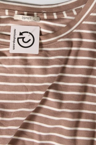 Damen Shirt Esprit, Größe XL, Farbe Beige, Preis 13,01 €