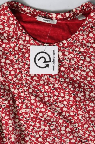 Damen Shirt Esprit, Größe XS, Farbe Mehrfarbig, Preis 9,46 €