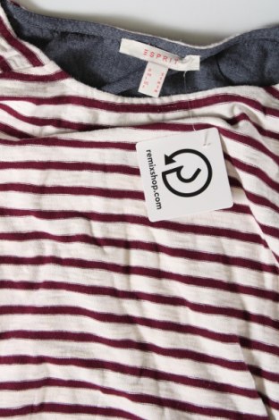 Γυναικεία μπλούζα Esprit, Μέγεθος S, Χρώμα Πολύχρωμο, Τιμή 7,36 €