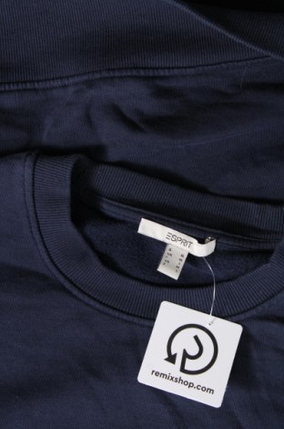 Damen Shirt Esprit, Größe M, Farbe Blau, Preis € 13,01