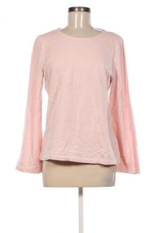 Γυναικεία μπλούζα Essentials by Tchibo, Μέγεθος S, Χρώμα Ρόζ , Τιμή 5,29 €