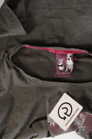 Γυναικεία μπλούζα Frieda & Freddies, Μέγεθος S, Χρώμα Γκρί, Τιμή 25,51 €