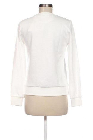 Damen Shirt Gant, Größe XS, Farbe Weiß, Preis € 49,79