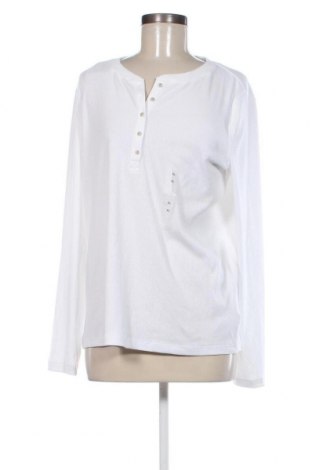 Damen Shirt Gap, Größe XL, Farbe Weiß, Preis € 13,04