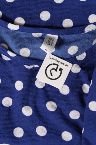 Γυναικεία μπλούζα Gina, Μέγεθος M, Χρώμα Μπλέ, Τιμή 5,29 €