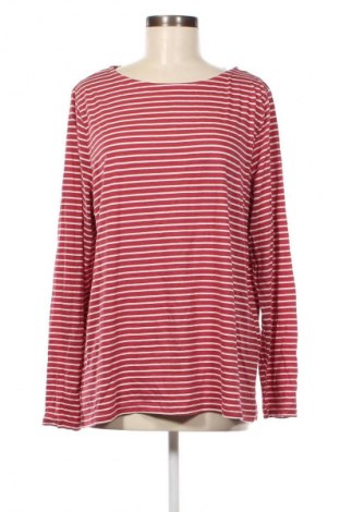 Дамска блуза Gina Benotti, Размер XL, Цвят Розов, Цена 11,40 лв.