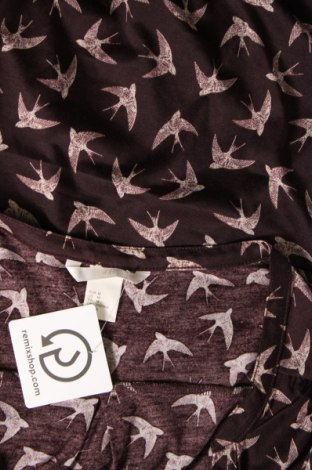 Damen Shirt H&M, Größe M, Farbe Braun, Preis 6,61 €