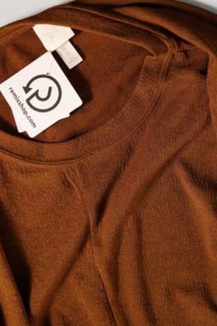 Damen Shirt H&M, Größe XS, Farbe Braun, Preis € 6,61