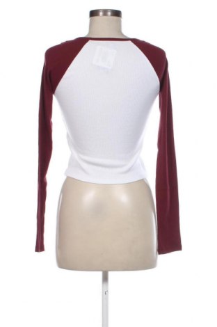 Damen Shirt Hollister, Größe M, Farbe Weiß, Preis € 19,85