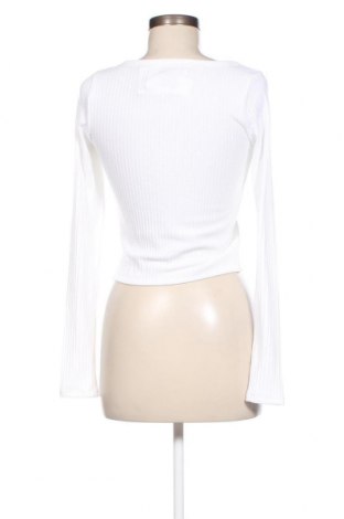 Damen Shirt Hollister, Größe M, Farbe Weiß, Preis € 39,69