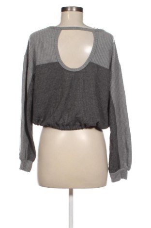 Damen Shirt Hollister, Größe S, Farbe Grau, Preis € 5,92