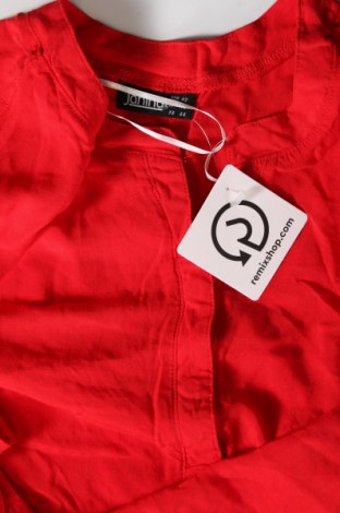 Γυναικεία μπλούζα Janina, Μέγεθος L, Χρώμα Κόκκινο, Τιμή 5,88 €