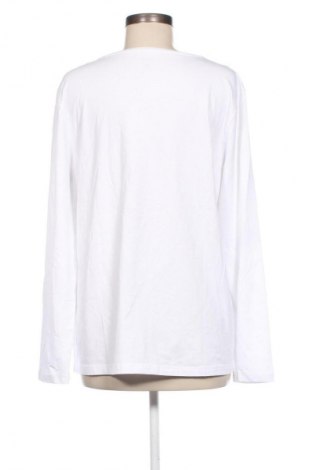 Γυναικεία μπλούζα Janina, Μέγεθος XL, Χρώμα Λευκό, Τιμή 7,05 €