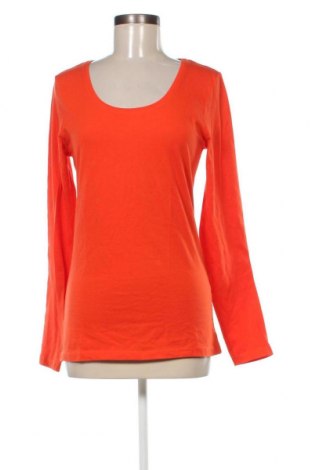 Γυναικεία μπλούζα Laura T., Μέγεθος L, Χρώμα Πορτοκαλί, Τιμή 5,88 €
