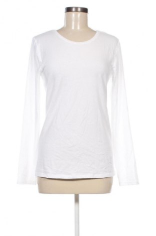 Γυναικεία μπλούζα Laura Torelli, Μέγεθος M, Χρώμα Λευκό, Τιμή 10,55 €