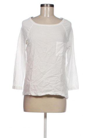 Damen Shirt Lerros, Größe M, Farbe Weiß, Preis € 10,65