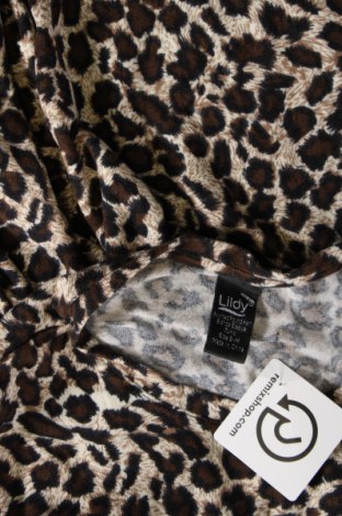 Γυναικεία μπλούζα Lildy, Μέγεθος S, Χρώμα Πολύχρωμο, Τιμή 4,70 €