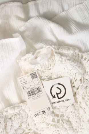 Damen Shirt Mango, Größe XS, Farbe Weiß, Preis € 12,78