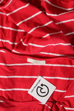 Damen Shirt Marks & Spencer, Größe XL, Farbe Rot, Preis 8,29 €