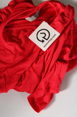 Damen Shirt Marks & Spencer, Größe XL, Farbe Rot, Preis € 6,49