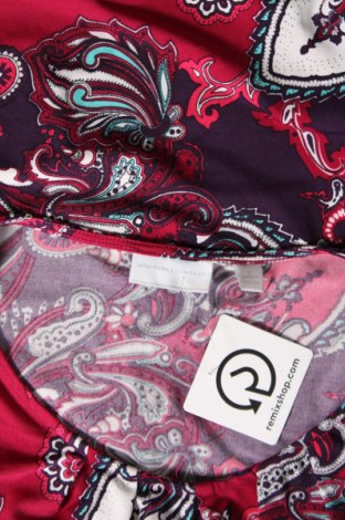 Damen Shirt New York & Company, Größe S, Farbe Mehrfarbig, Preis 8,28 €