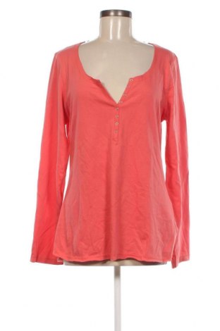 Γυναικεία μπλούζα Nkd, Μέγεθος L, Χρώμα Ρόζ , Τιμή 11,75 €
