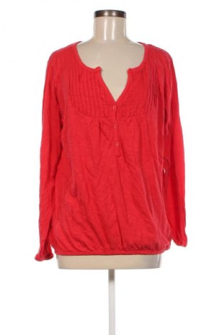 Damen Shirt Okay, Größe XL, Farbe Rot, Preis 7,93 €