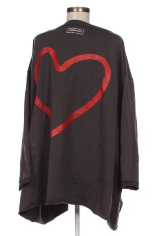 Γυναικεία μπλούζα Peperosa, Μέγεθος XL, Χρώμα Γκρί, Τιμή 14,85 €