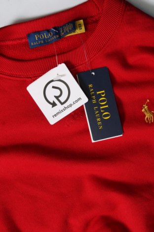 Damen Shirt Polo By Ralph Lauren, Größe S, Farbe Rot, Preis 49,79 €