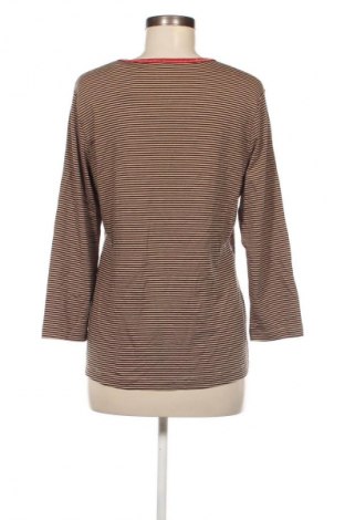 Γυναικεία μπλούζα Rabe, Μέγεθος M, Χρώμα Πολύχρωμο, Τιμή 11,57 €