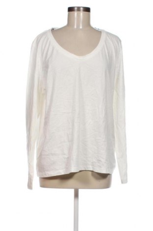 Γυναικεία μπλούζα S.Oliver, Μέγεθος XL, Χρώμα Λευκό, Τιμή 3,79 €