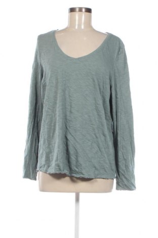 Damen Shirt S.Oliver, Größe L, Farbe Grün, Preis € 13,01