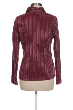 Damen Shirt S.Oliver, Größe L, Farbe Mehrfarbig, Preis 10,65 €