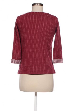 Γυναικεία μπλούζα S.Oliver, Μέγεθος XS, Χρώμα Κόκκινο, Τιμή 10,52 €