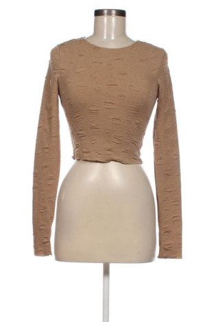 Γυναικεία μπλούζα SHEIN, Μέγεθος XS, Χρώμα  Μπέζ, Τιμή 5,88 €