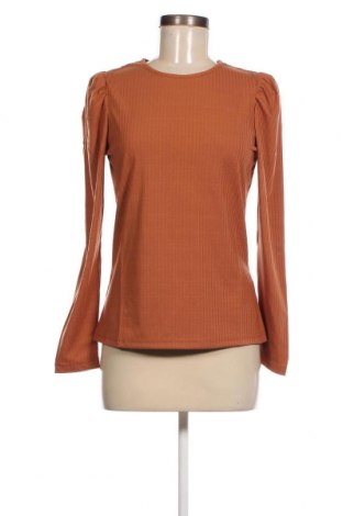 Damen Shirt Saint Tropez, Größe S, Farbe Braun, Preis 21,83 €