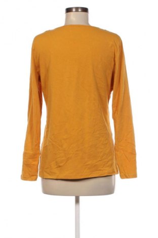 Γυναικεία μπλούζα Sure, Μέγεθος XL, Χρώμα Κίτρινο, Τιμή 6,46 €