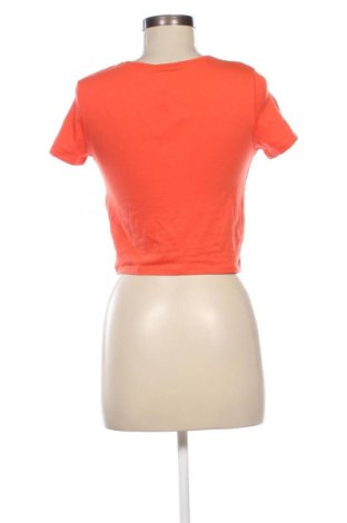 Damen Shirt Terranova, Größe M, Farbe Orange, Preis € 4,99