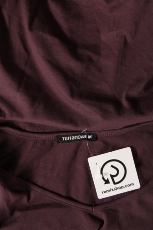 Damen Shirt Terranova, Größe M, Farbe Lila, Preis € 4,80