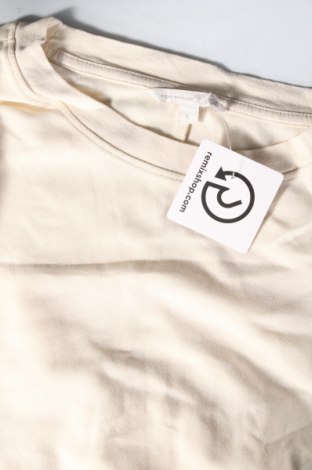 Γυναικεία μπλούζα Tom Tailor, Μέγεθος L, Χρώμα  Μπέζ, Τιμή 11,57 €