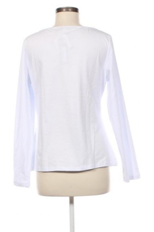 Damen Shirt Warehouse, Größe L, Farbe Weiß, Preis 19,85 €