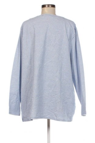 Γυναικεία μπλούζα Zab, Μέγεθος XL, Χρώμα Πολύχρωμο, Τιμή 7,05 €