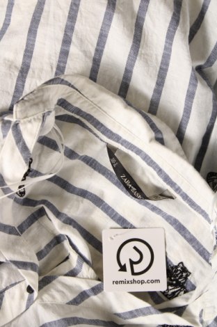 Damen Shirt Zara, Größe S, Farbe Weiß, Preis € 7,89