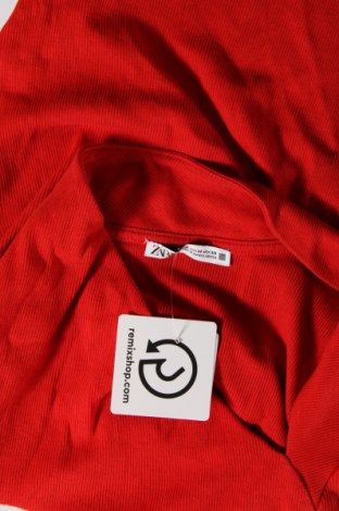 Damen Shirt Zara, Größe M, Farbe Schwarz, Preis 5,83 €