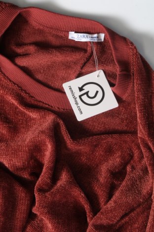 Damen Shirt Zara, Größe S, Farbe Braun, Preis € 18,79