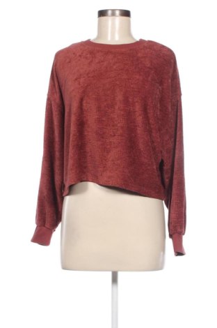 Damen Shirt Zara, Größe S, Farbe Braun, Preis 7,52 €